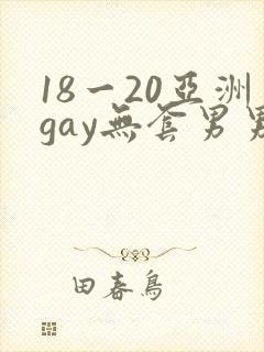 18一20亚洲gay无套男男封面