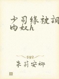 少司缘被调教成肉奴h