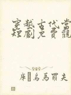 穿越古代当家丁短剧免费观看