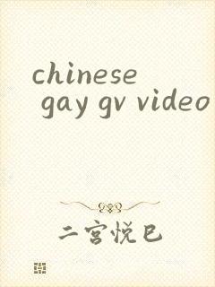 chinese gay gv video