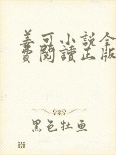 姜可小说全文免费阅读正版封面