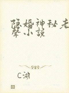 隐婚神秘老公有声小说