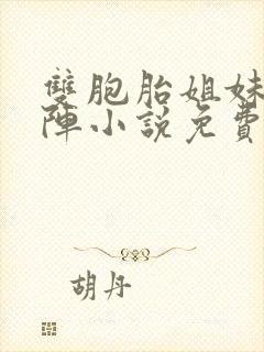 双胞胎姐妹齐上阵小说免费阅读