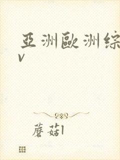 亚洲欧洲综合av