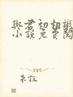 与君初相识原著小说免费阅读封面