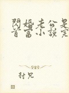 闪婚老公是千亿首富小说完整版