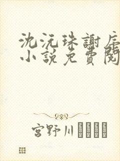 沈沅珠谢序川的小说免费阅读全文