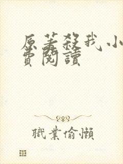 原著杀我小说免费阅读