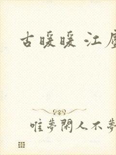 古暖暖 江尘御