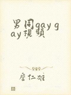 男同gay gay视频