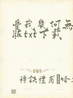 爱我几何无删减版txt下载封面