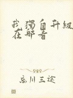 我独自升级动漫在哪看