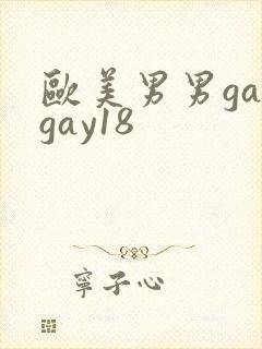 欧美男男gaygay18