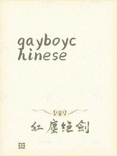 gayboychinese封面
