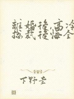 离婚后,高冷女总裁后悔全封面