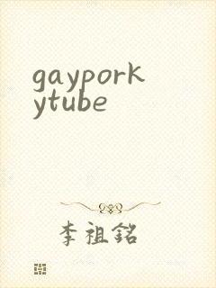 gayporkytube