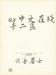av中文在线不卡二区