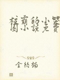 校霸的小哭包校园小说免费阅读姜甜苏