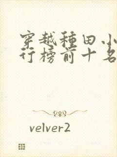 穿越种田小说排行榜前十名完结篇封面