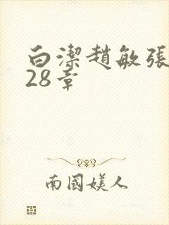 白洁赵敏张倩第28章封面