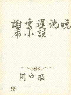 谢云迟沈晚梨叶希小说