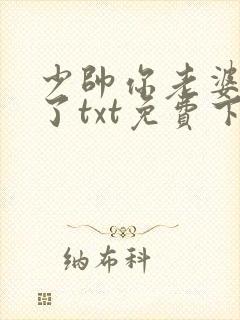 少帅你老婆又跑了txt免费下载封面