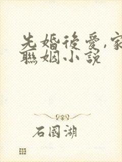 先婚后爱,家族联姻小说