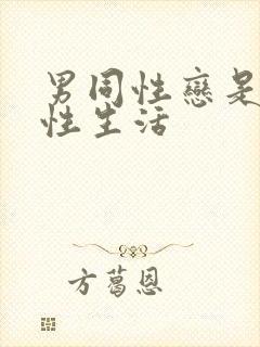 男同性恋是怎么性生活