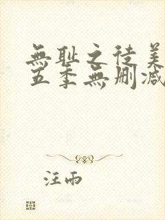 无耻之徒美版第五季无删减高清