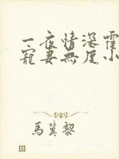 一夜情深霍先生宠妻无度小说免费阅读