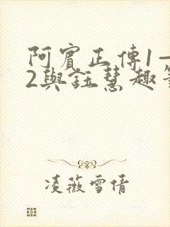 阿宾正传1—72与钰慧趣笔阁txt