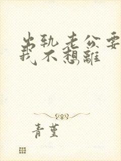 出轨老公要离婚我不想离封面