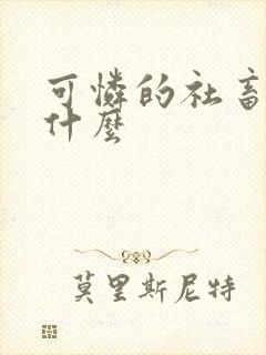 可怜的社畜讲了什么