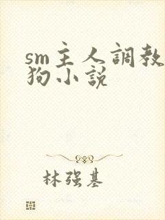 sm主人调教母狗小说