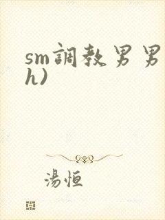 sm调教男男(h)