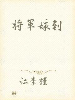 将军嫁到