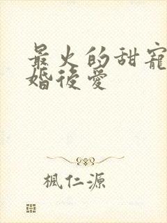 最火的甜宠剧先婚后爱