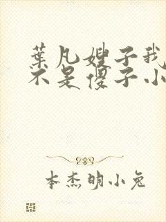 叶凡嫂子我真的不是傻子小说