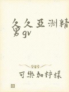 久久亚洲精品男男gv