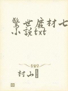 惊世废材七小姐小说txt