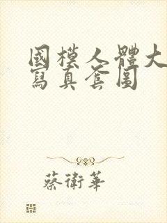 国模人体大尺度写真套图封面