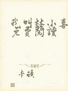 我叫林小喜小说免费阅读