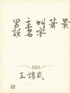 男主叫萧景的小说名字