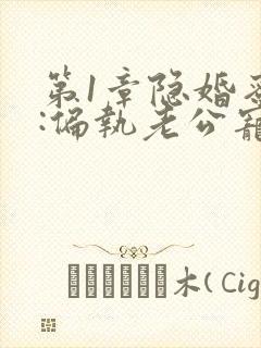 第1章隐婚蜜爱:偏执老公宠上瘾