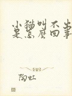 小猫叫不出声音是怎么回事封面