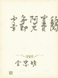 少年阿宾的最新章节免费阅读封面