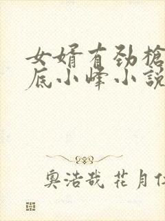 女婿有劲枪枪到底小峰小说