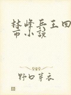 林峰兵王回归都市小说封面