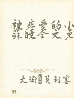 被疼爱的小美人苏晓全文免费阅读