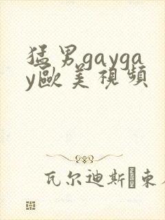 猛男gaygay欧美视频